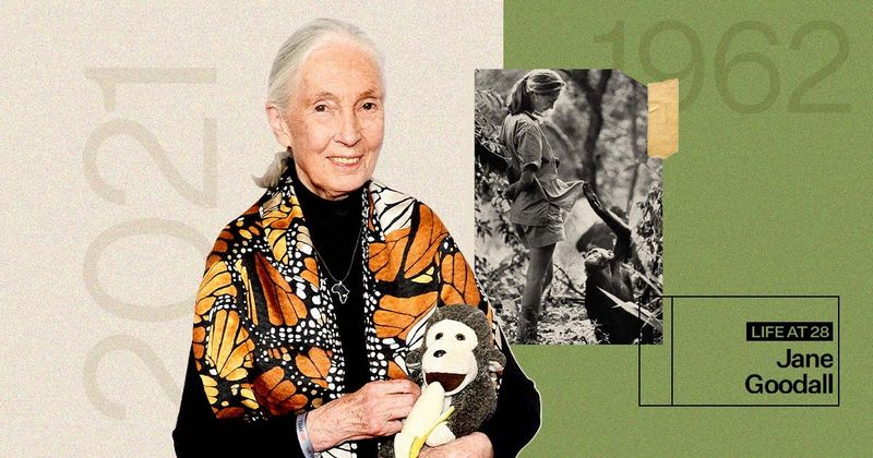 A los 28 años, Jane Goodall vivía en el bosque investigando