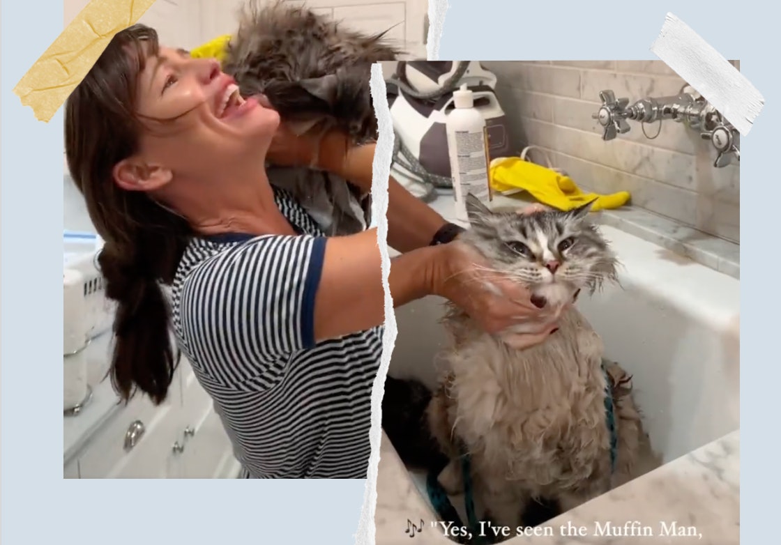 Twitter er besatt av denne kaotiske videoen av Jennifer Garner som bader katten sin