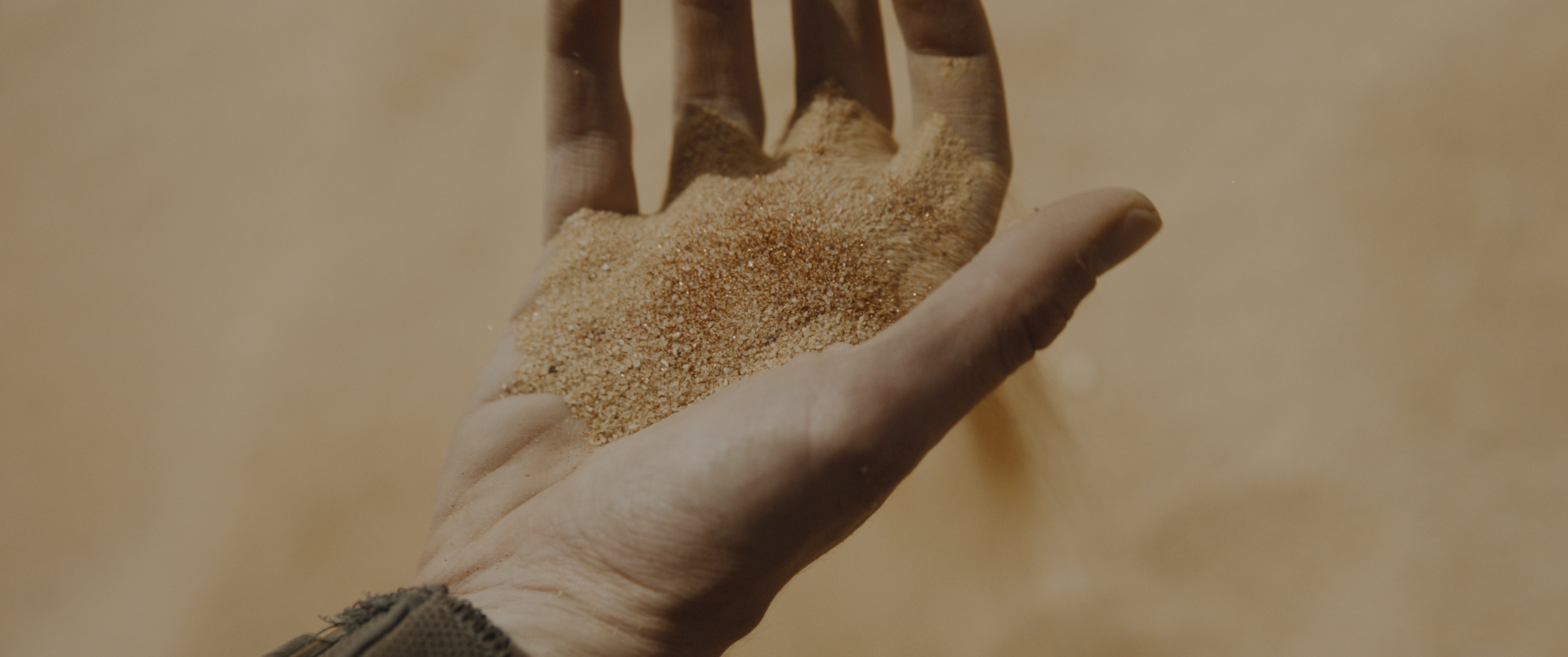 Всичко, което трябва да знаете за Spice In Dune
