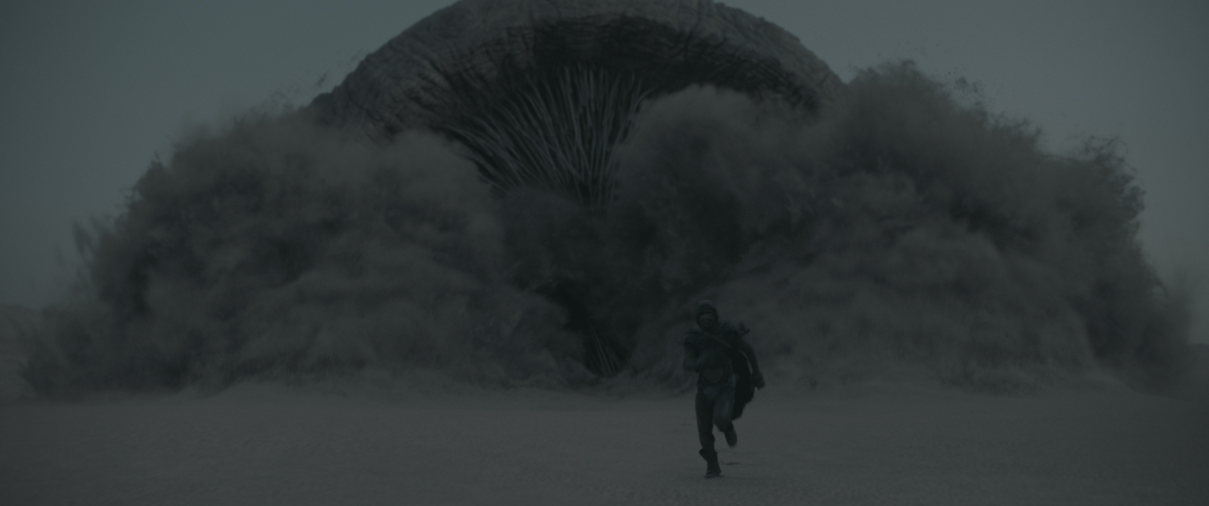 ¿Qué pasa con los grandes gusanos en Dune?