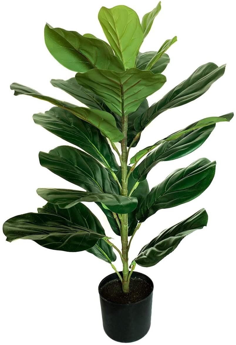 Die 3 besten Faux Fiddle Leaf Feigenbäume bei Amazon