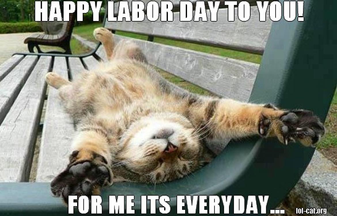 7 забавни мемове за Деня на труда