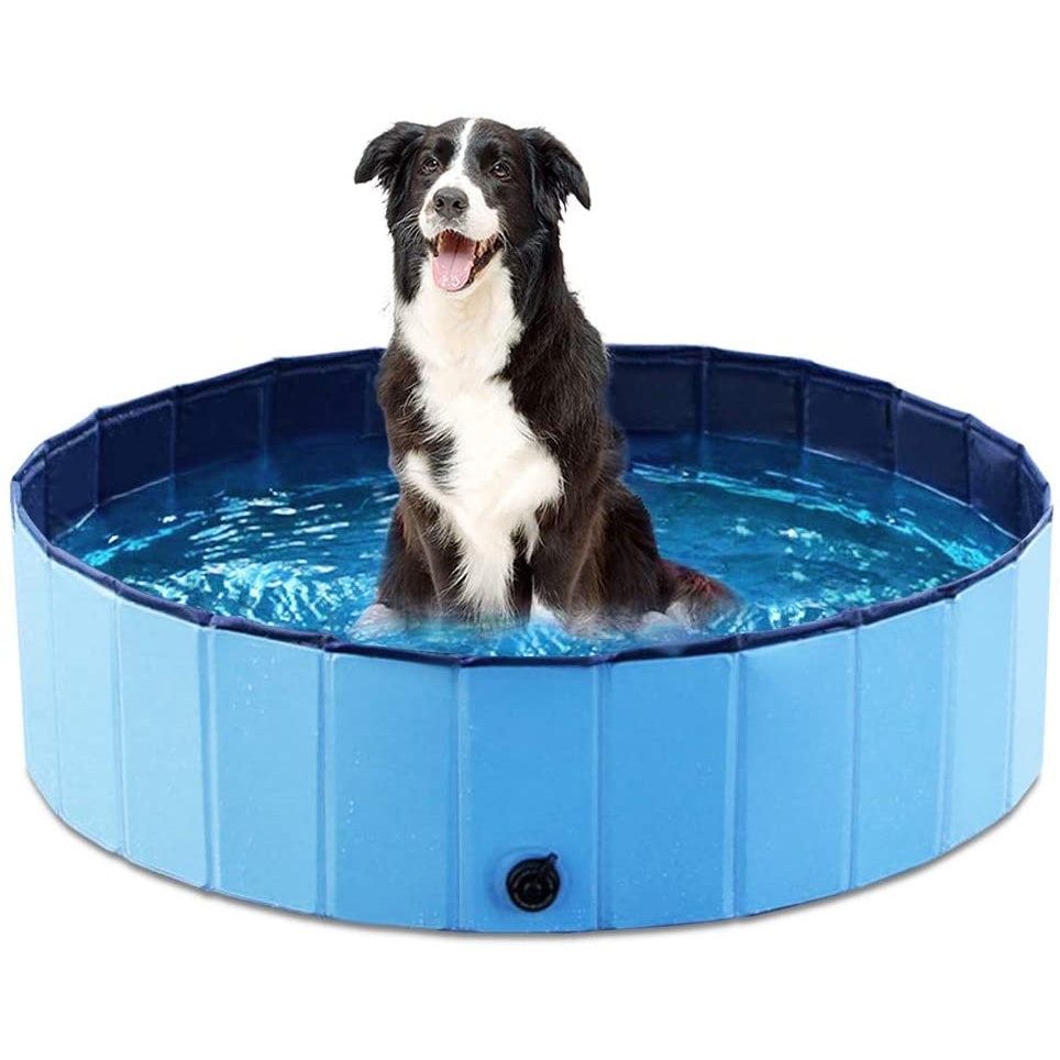 As melhores piscinas caninas para manter o seu cachorro fresco