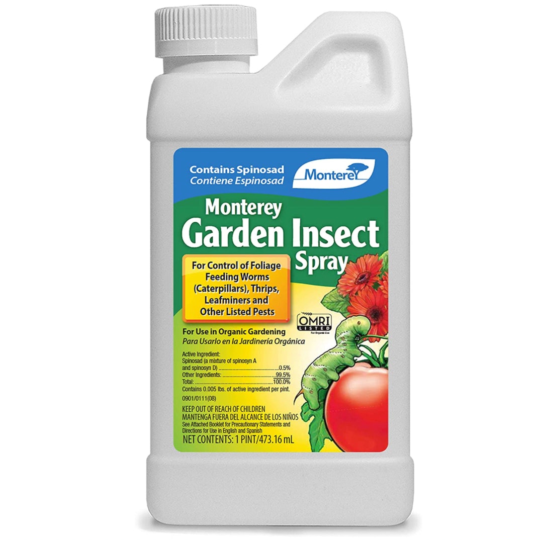 4 najlepšie insekticídy pre vašu zeleninovú záhradu