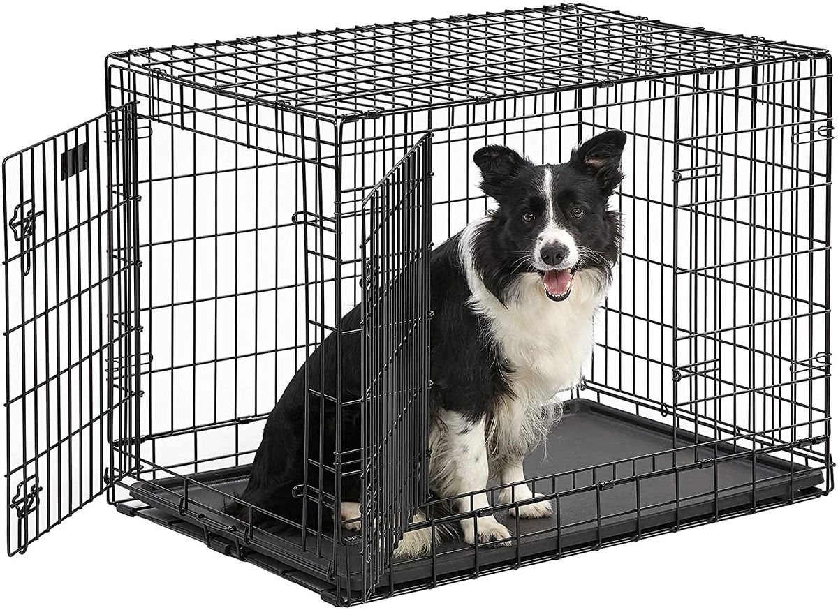 Las 3 mejores jaulas para perros resistentes