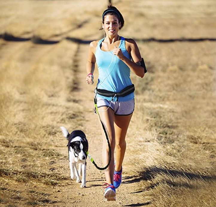 Las 3 mejores correas de manos libres para perros para caminantes, corredores y excursionistas