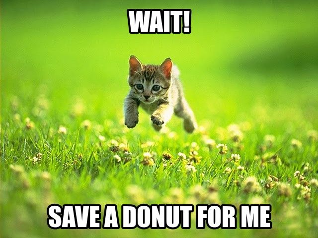 12 Memes για κοινή χρήση στην Εθνική Ημέρα Ντόνατ