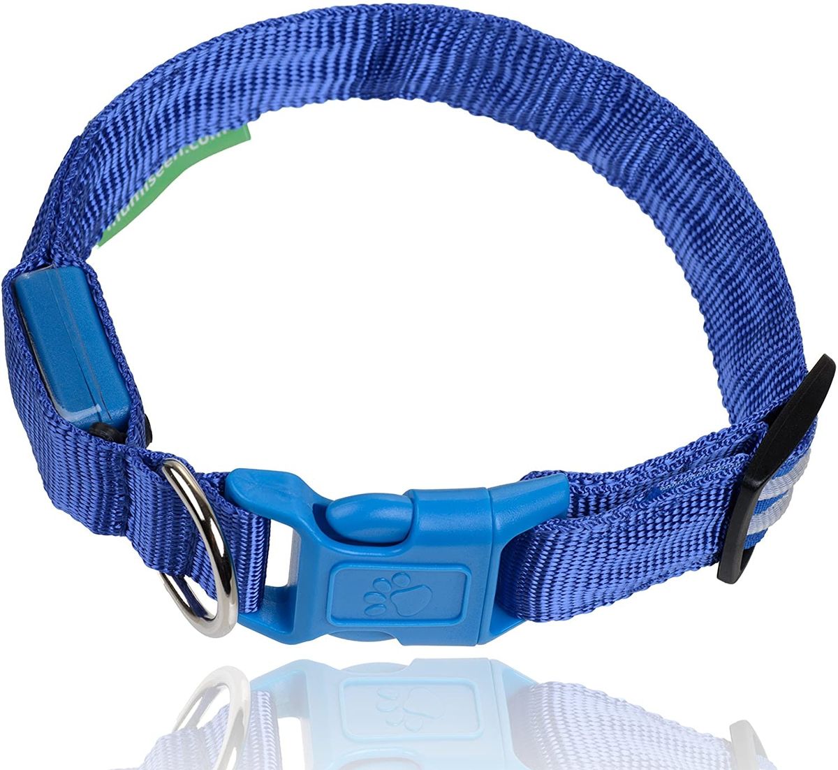 5 labākās LED kaklasiksnas suņu siksnām, lai jūsu kucēns būtu drošībā naktī