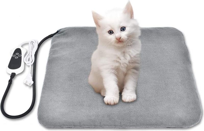 7 najboljih grijanih kreveta za mačke