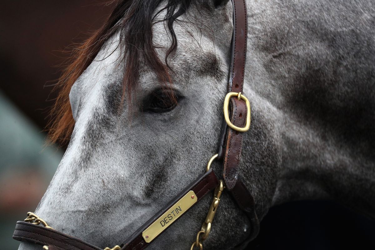 Pferde im Kentucky Derby sind alle gleich alt