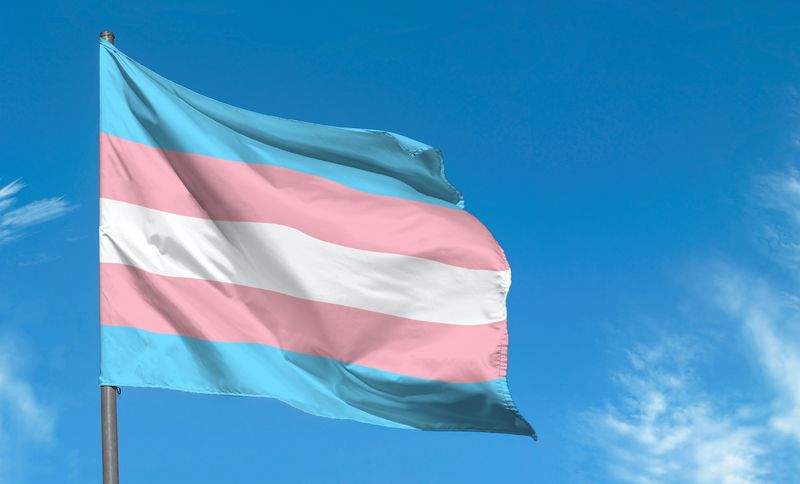 Депутат от тори нарече транс-приобщаващото преподаване „промиване на мозъци“