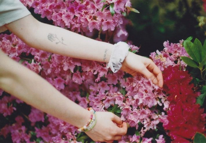 11 gvazdikų tatuiruotės idėjų, kurios įkvėps jūsų kitą gėlių kūno meną